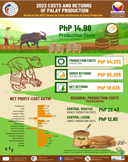 2022 Costs and Returns of Palay Production