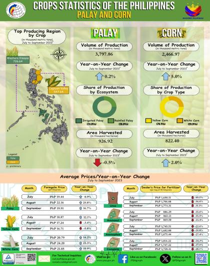 Palay and Corn Statistics, July to September 2023