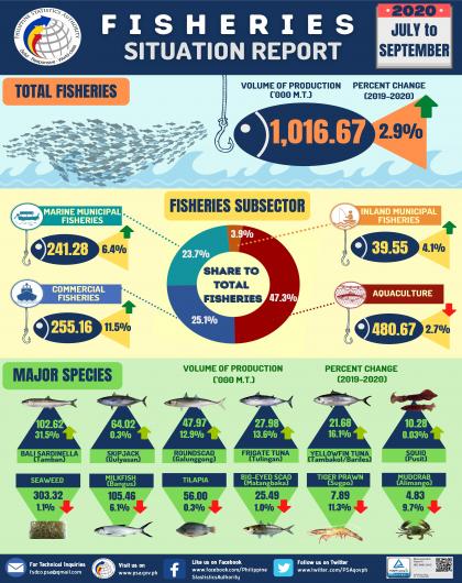 Fisheries Situation Report, July to September 2020